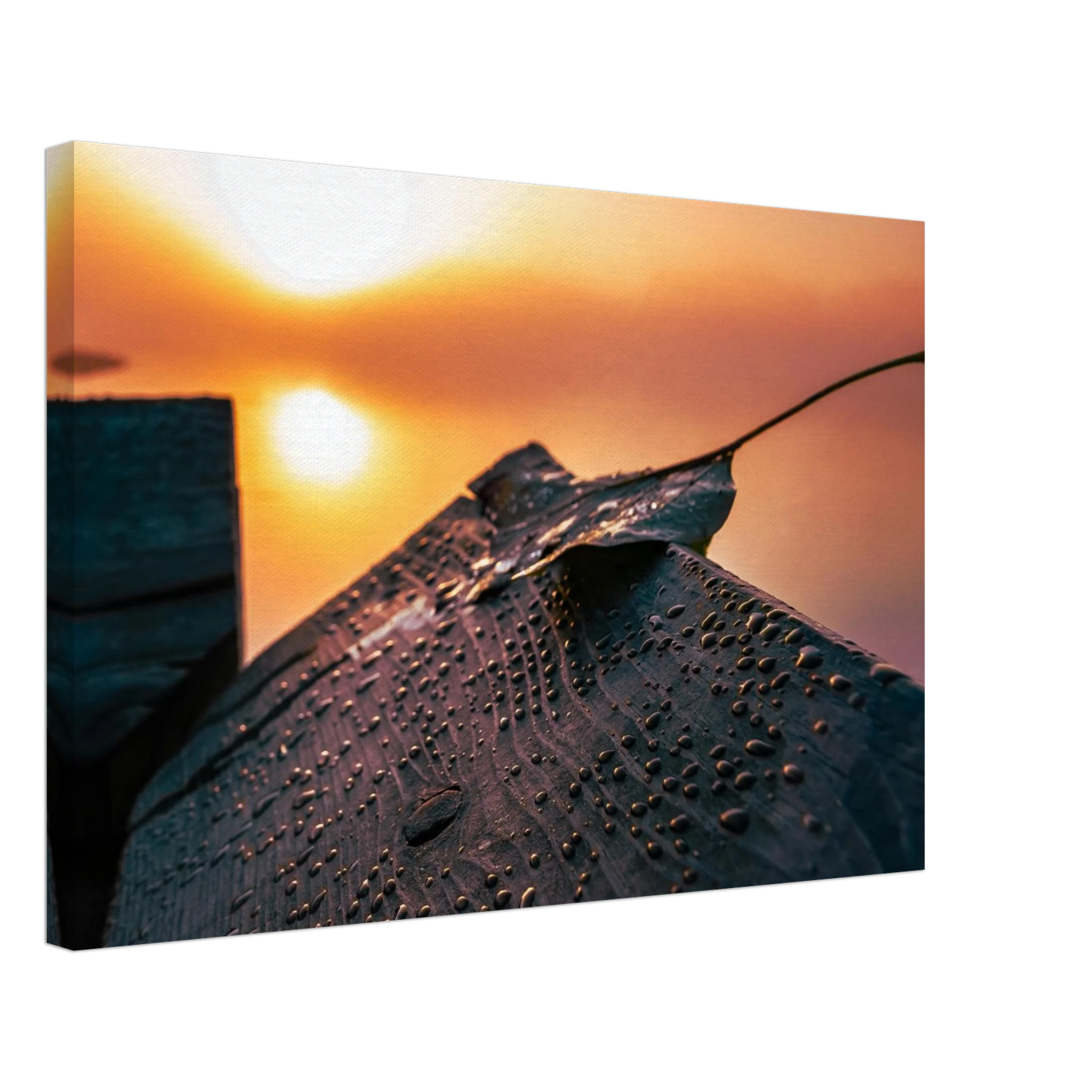 17e9b80a-b2d2-4618-9142-6dc3205c34a8