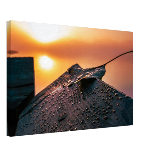 17e9b80a-b2d2-4618-9142-6dc3205c34a8