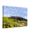 19b9aca0-446c-4136-b0b2-8d5858330c8e