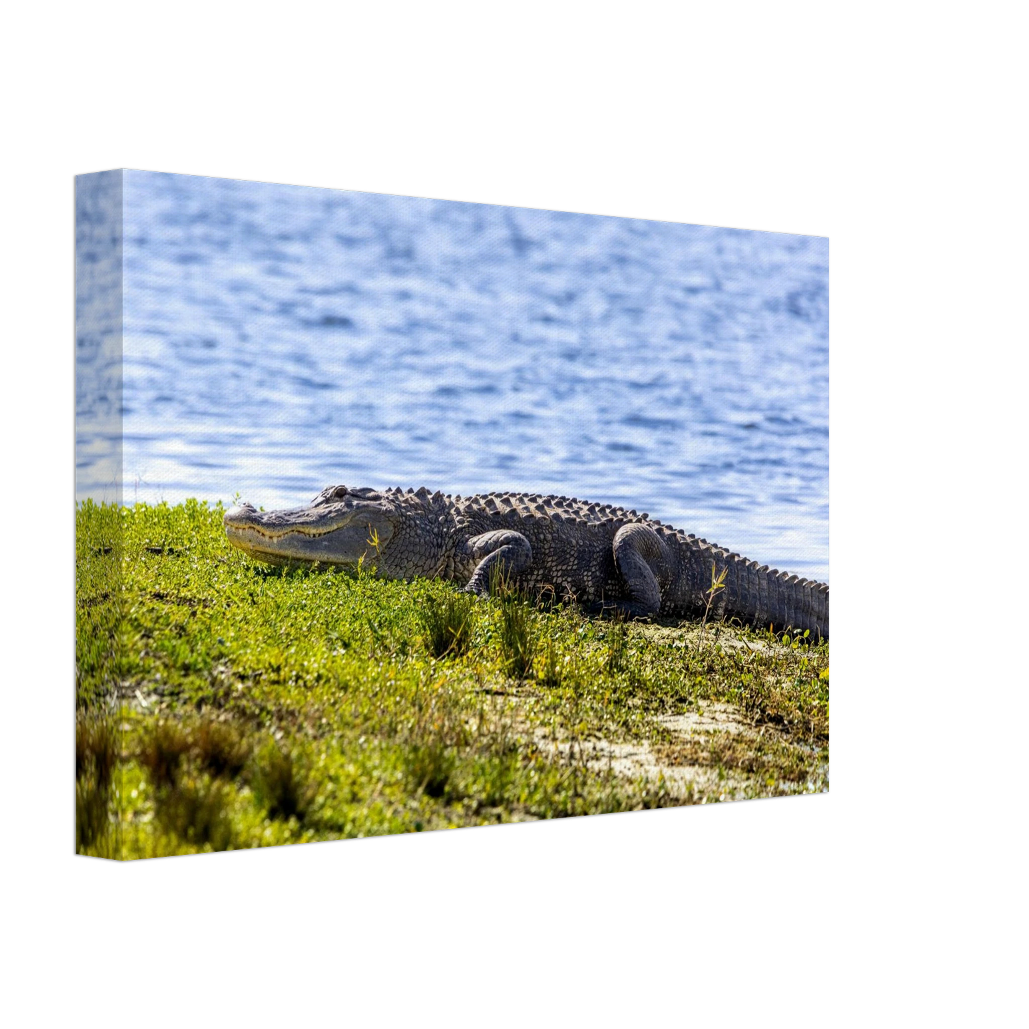 19b9aca0-446c-4136-b0b2-8d5858330c8e