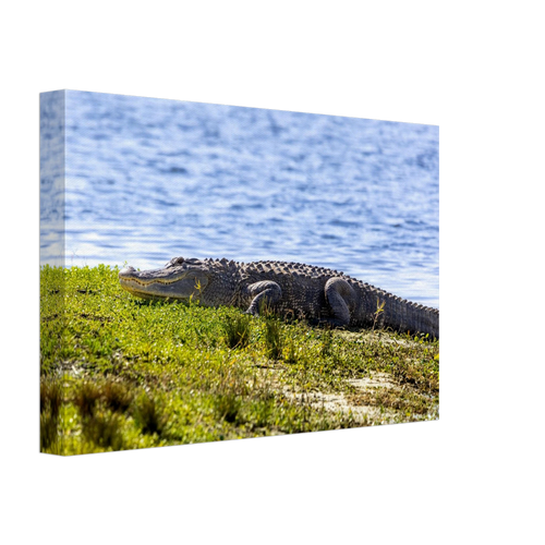 19b9aca0-446c-4136-b0b2-8d5858330c8e