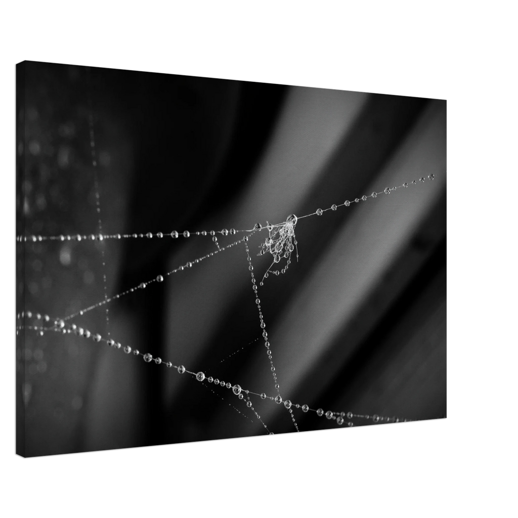 311a2082-a4a1-4c43-b020-80ba522f9b9f