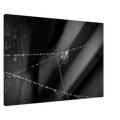 311a2082-a4a1-4c43-b020-80ba522f9b9f