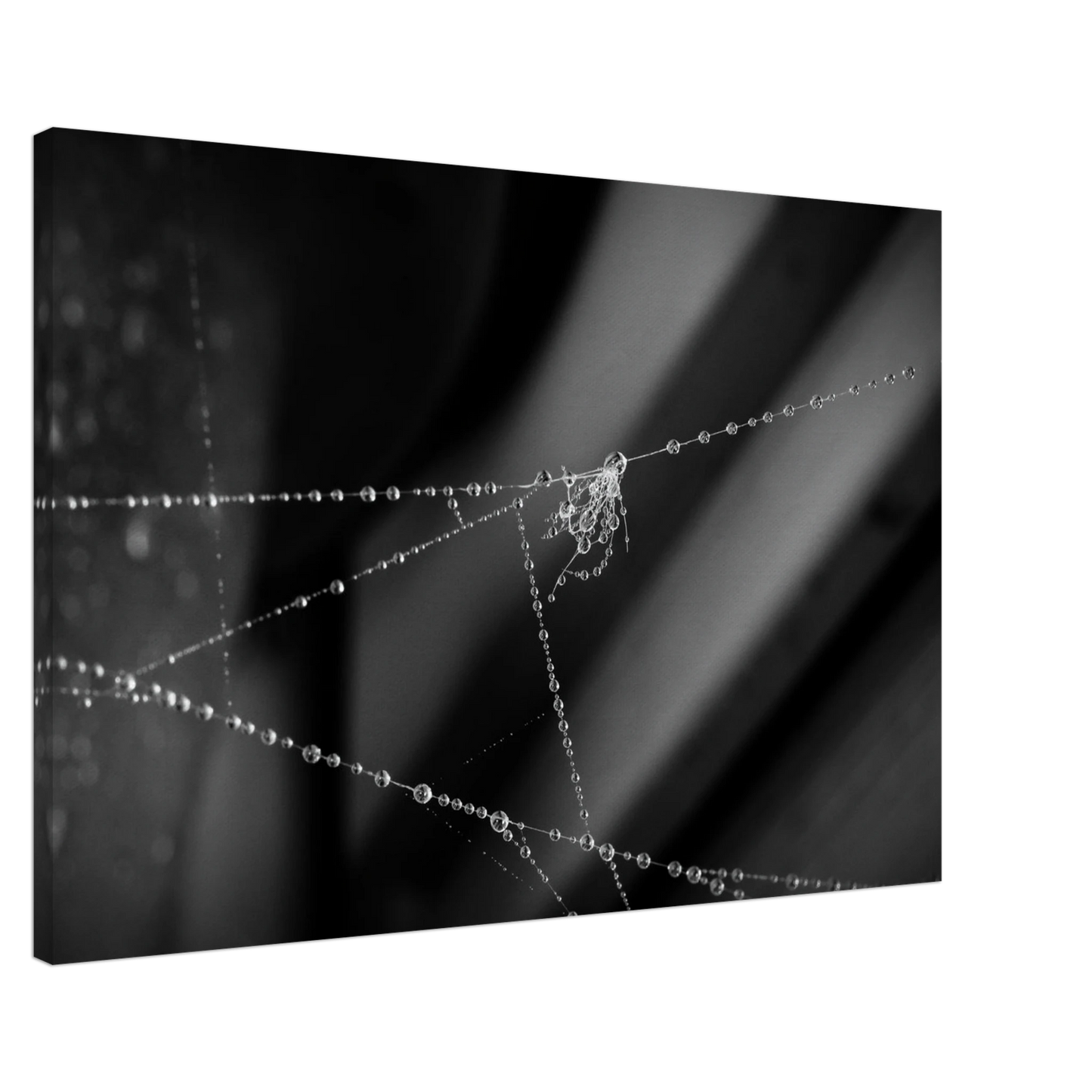 311a2082-a4a1-4c43-b020-80ba522f9b9f