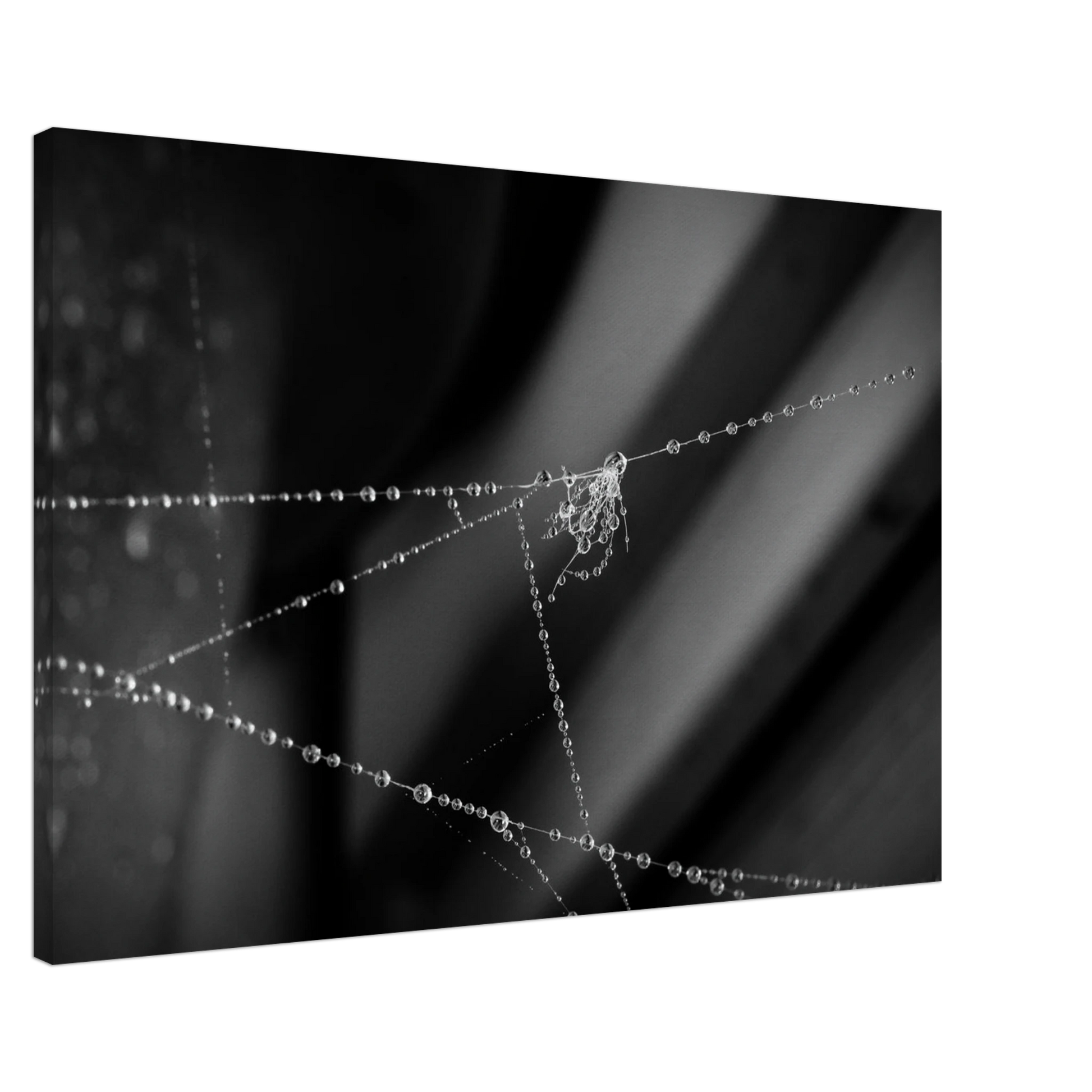 311a2082-a4a1-4c43-b020-80ba522f9b9f