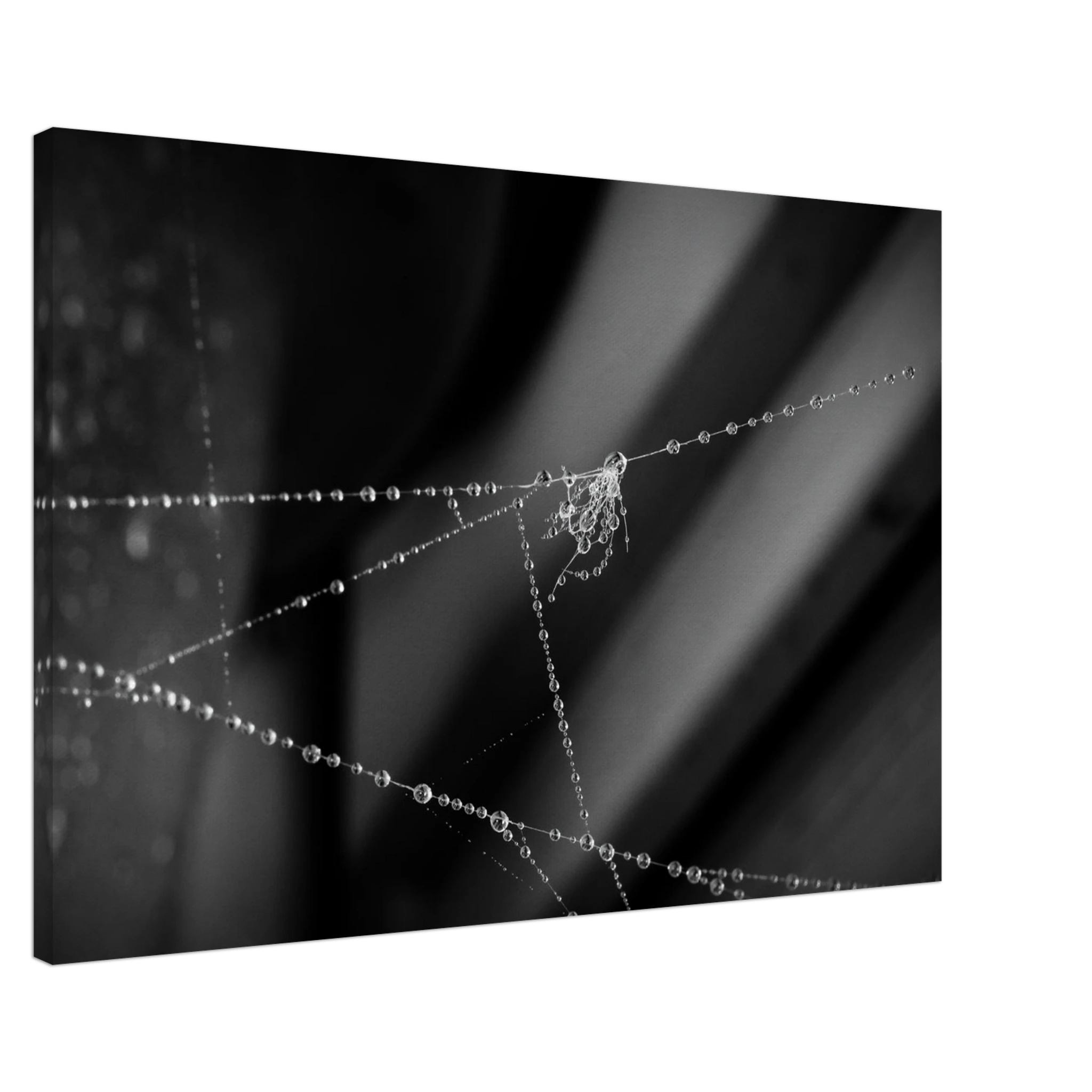 311a2082-a4a1-4c43-b020-80ba522f9b9f