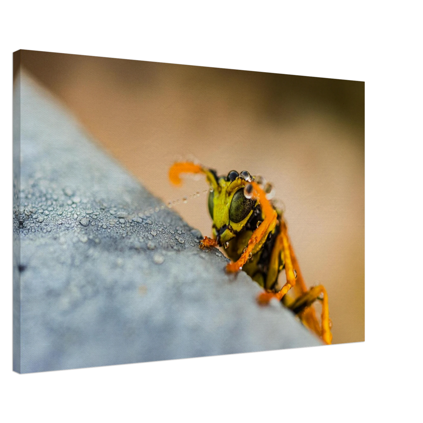 40d5c3ef-02e9-4b00-ac93-15772868eb2f