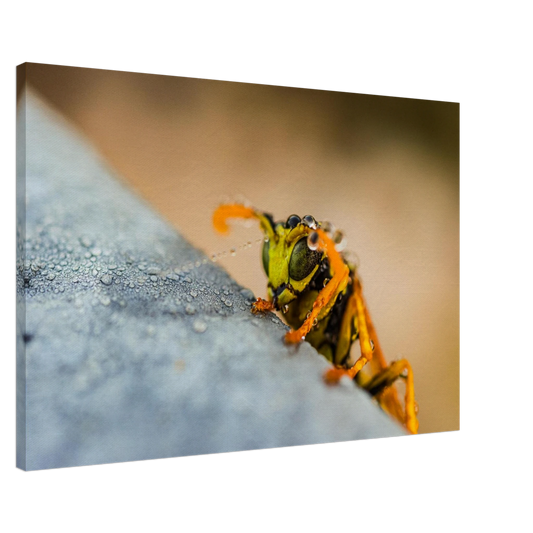 40d5c3ef-02e9-4b00-ac93-15772868eb2f