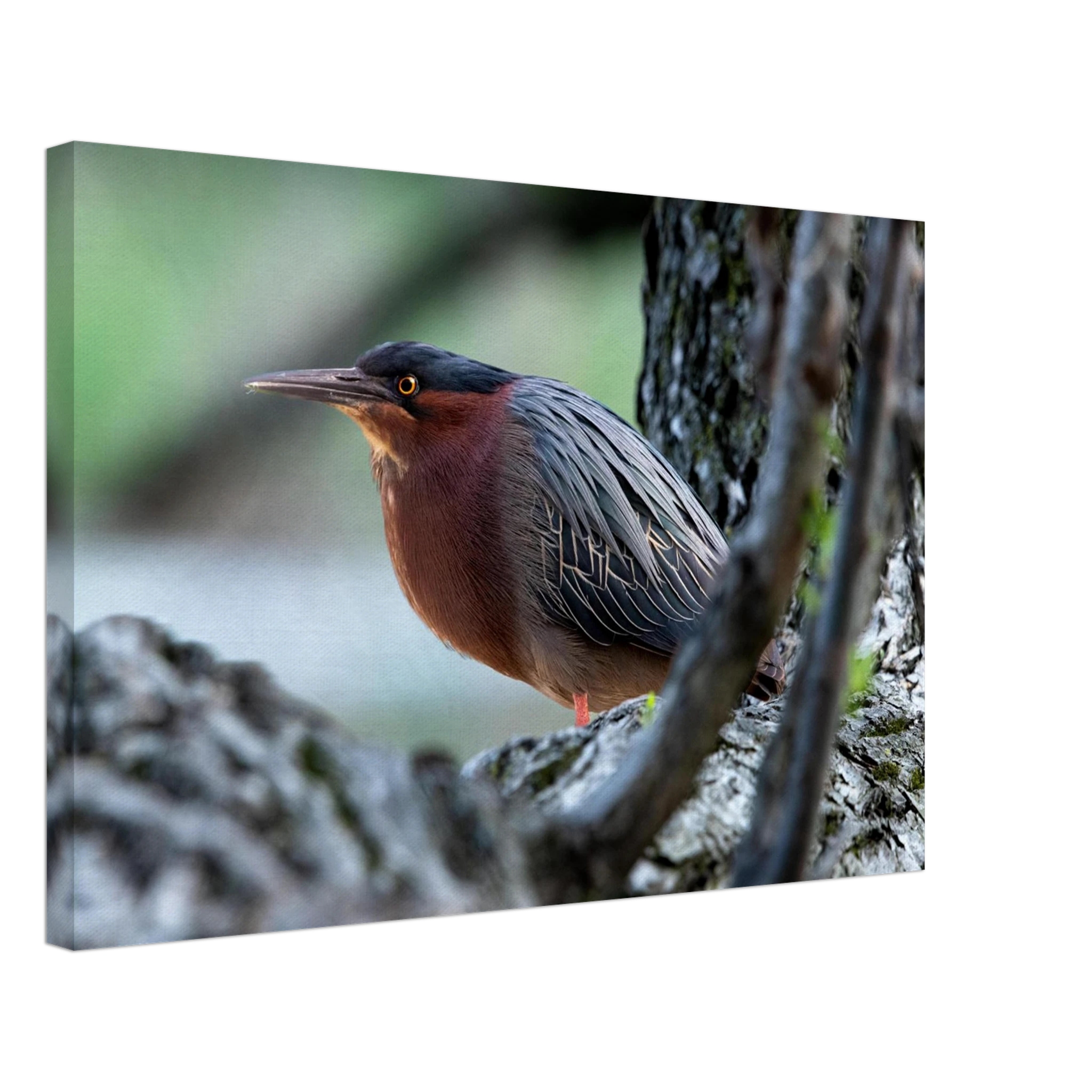 4d9c07aa-7979-4437-ac80-e26ddc5a3c98