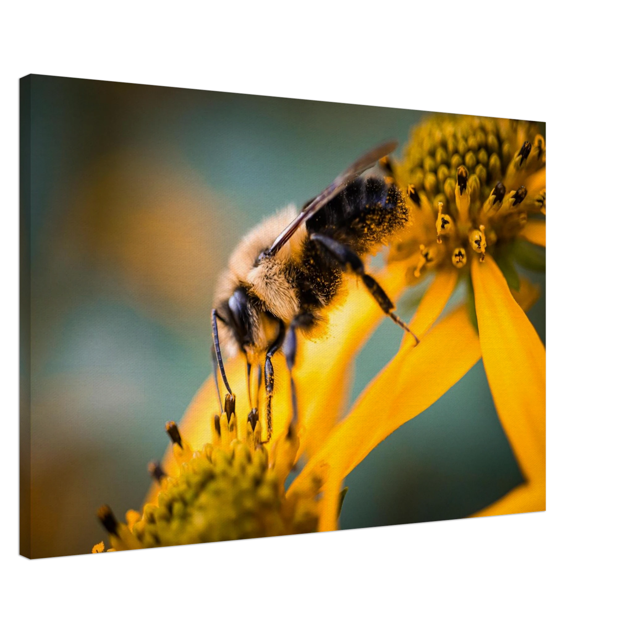 78629a03-eafe-475a-bcd2-65f9a100b764