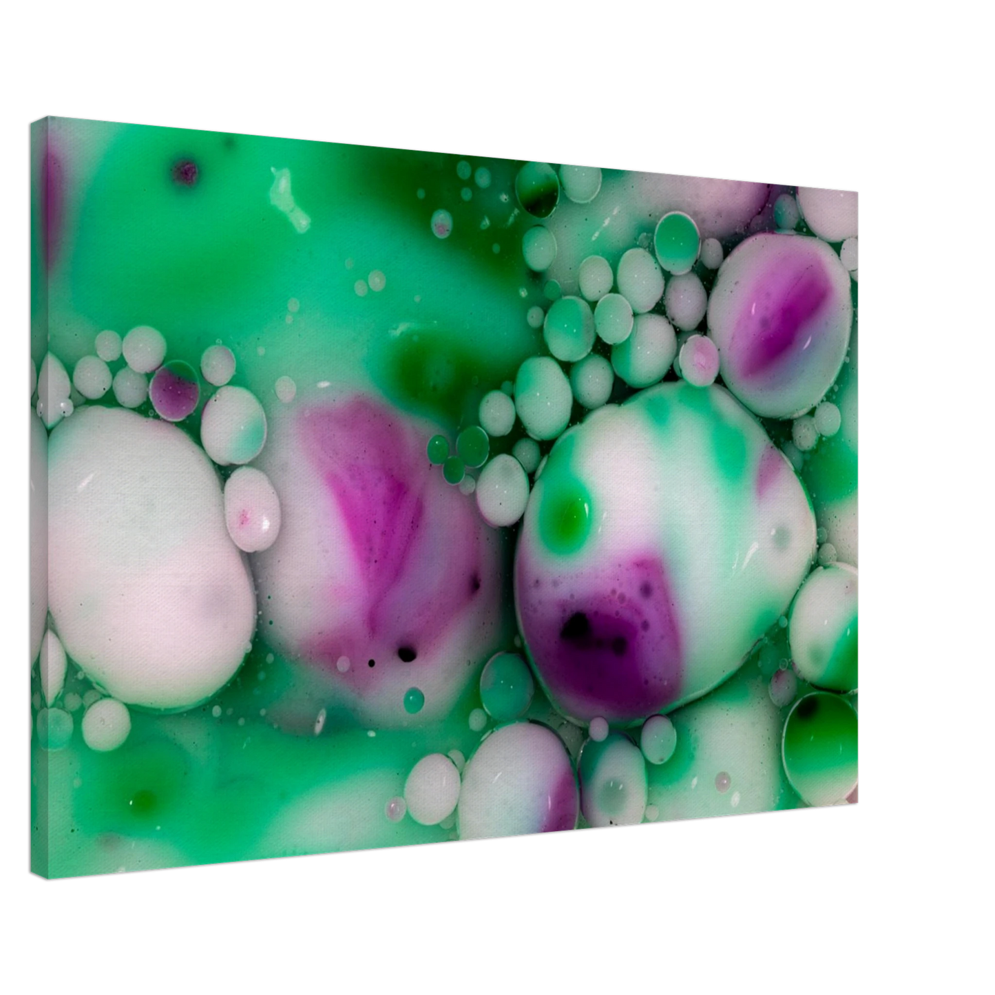 78d75a24-3382-4ea1-a2f6-dbc9c144bdb8