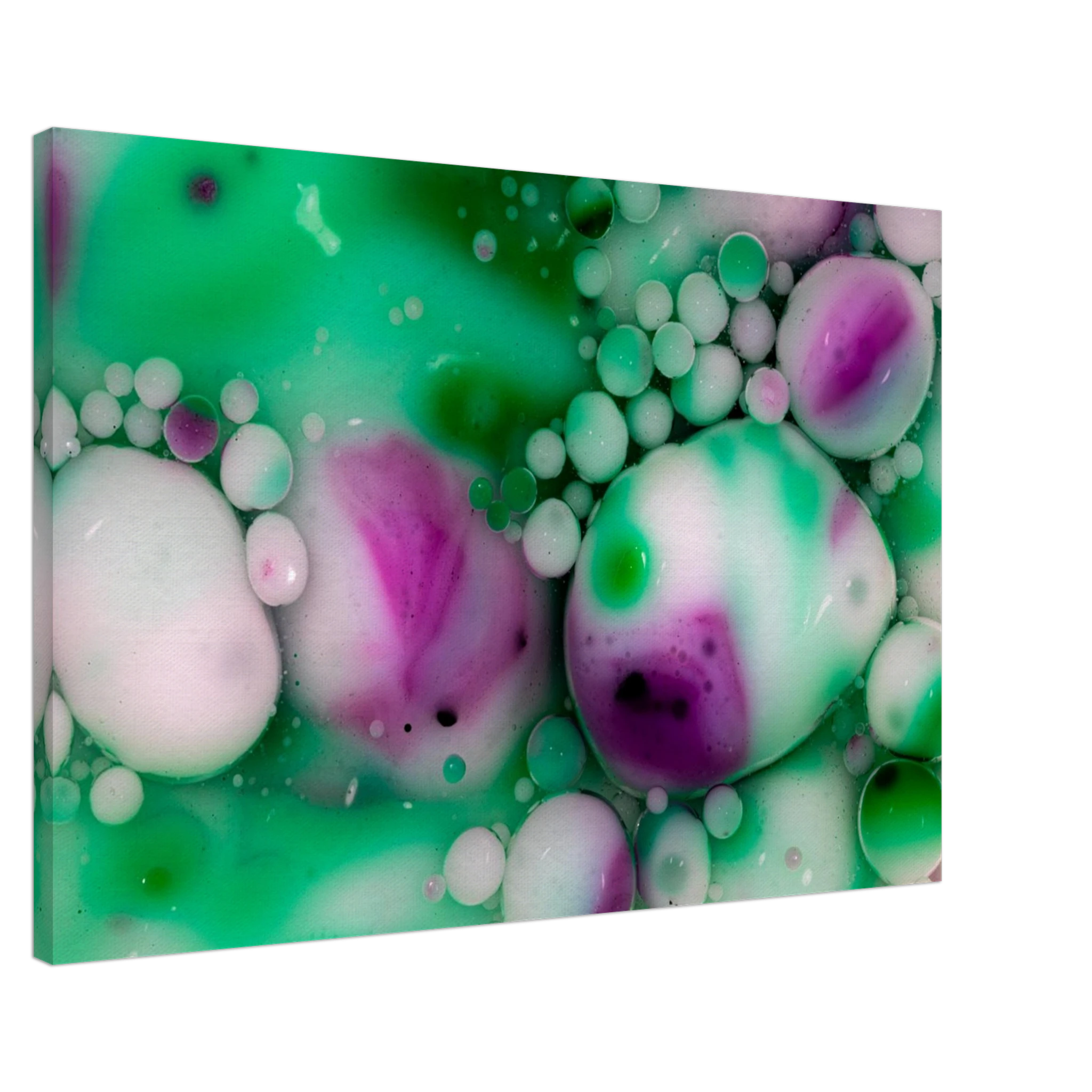 78d75a24-3382-4ea1-a2f6-dbc9c144bdb8