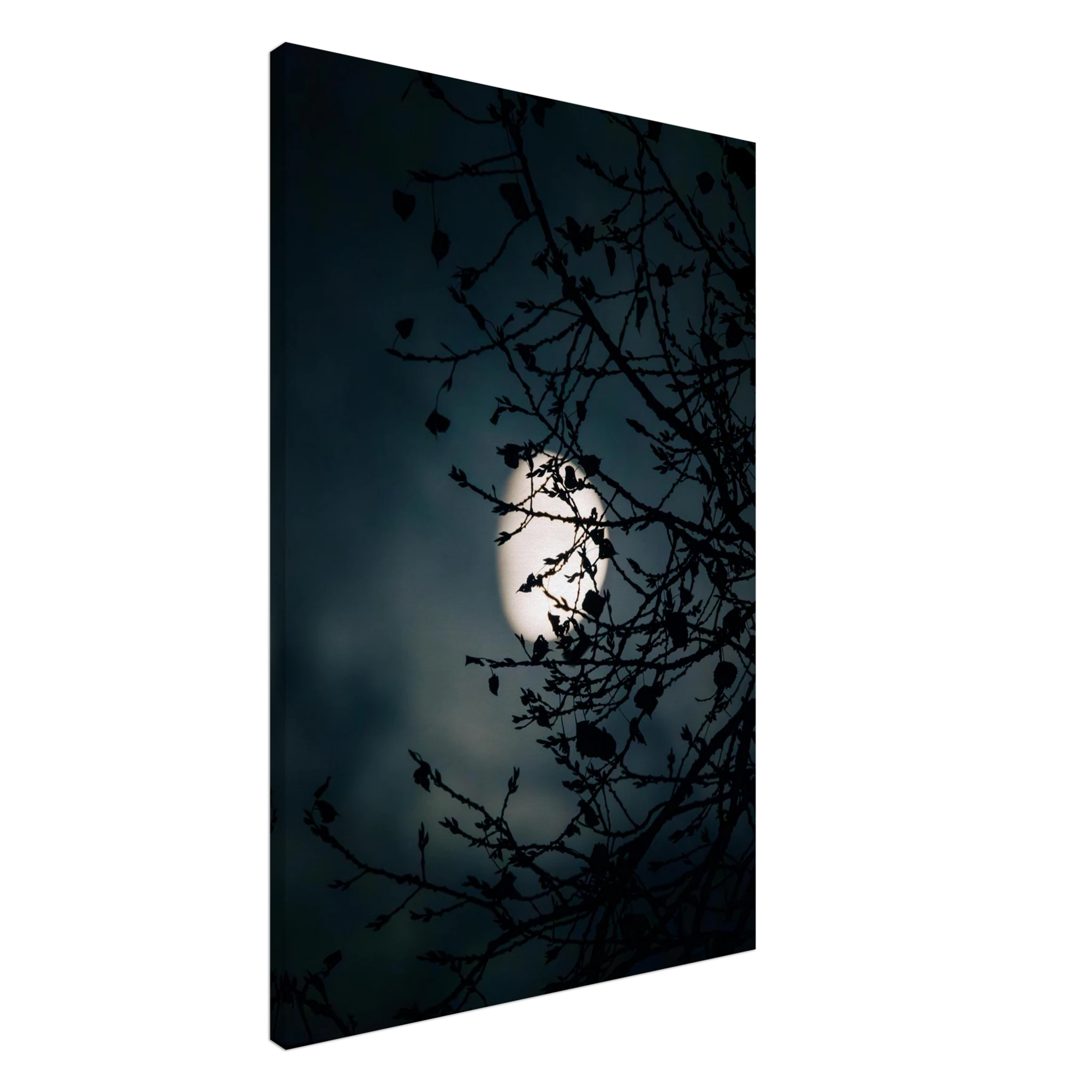 82a23beb-8071-4457-88fb-cadd69336c12