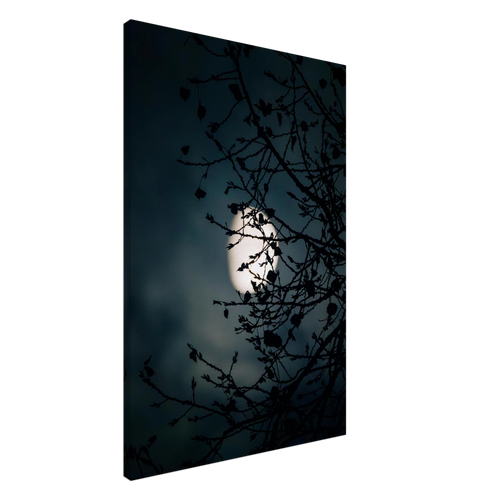 82a23beb-8071-4457-88fb-cadd69336c12