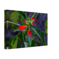92c71a51-b193-442e-a58e-d48aefa0163a