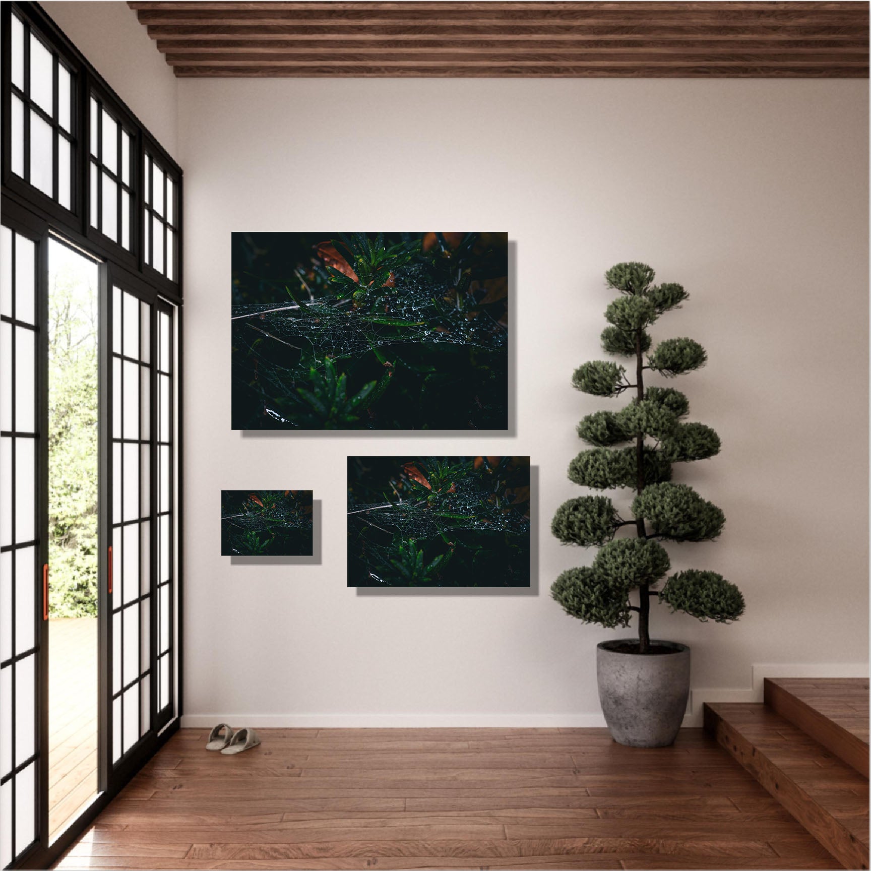 Collection Web