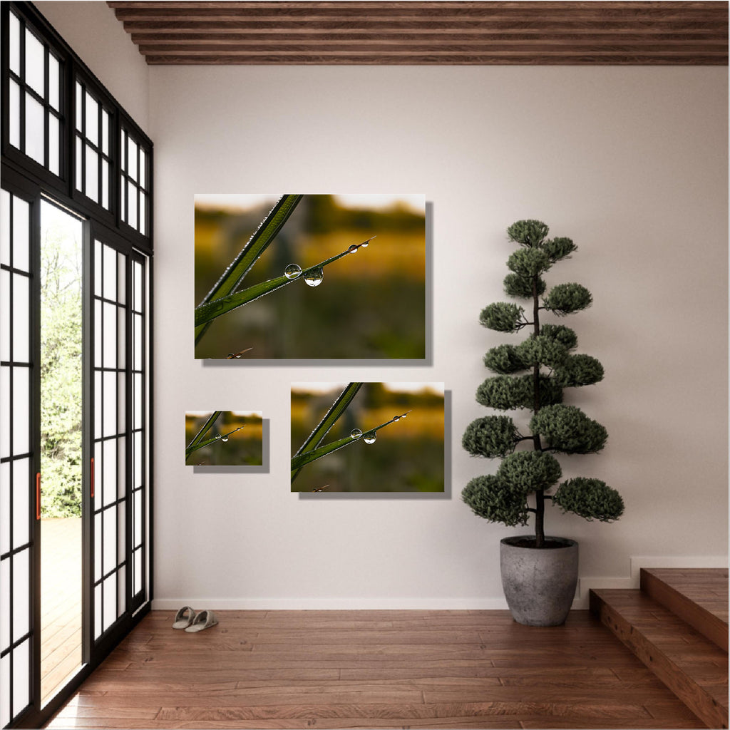 Inverted Garden II
