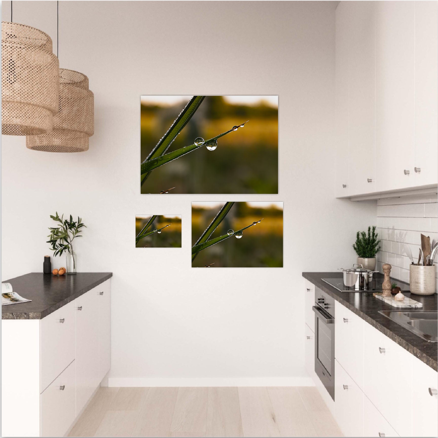 Inverted Garden II