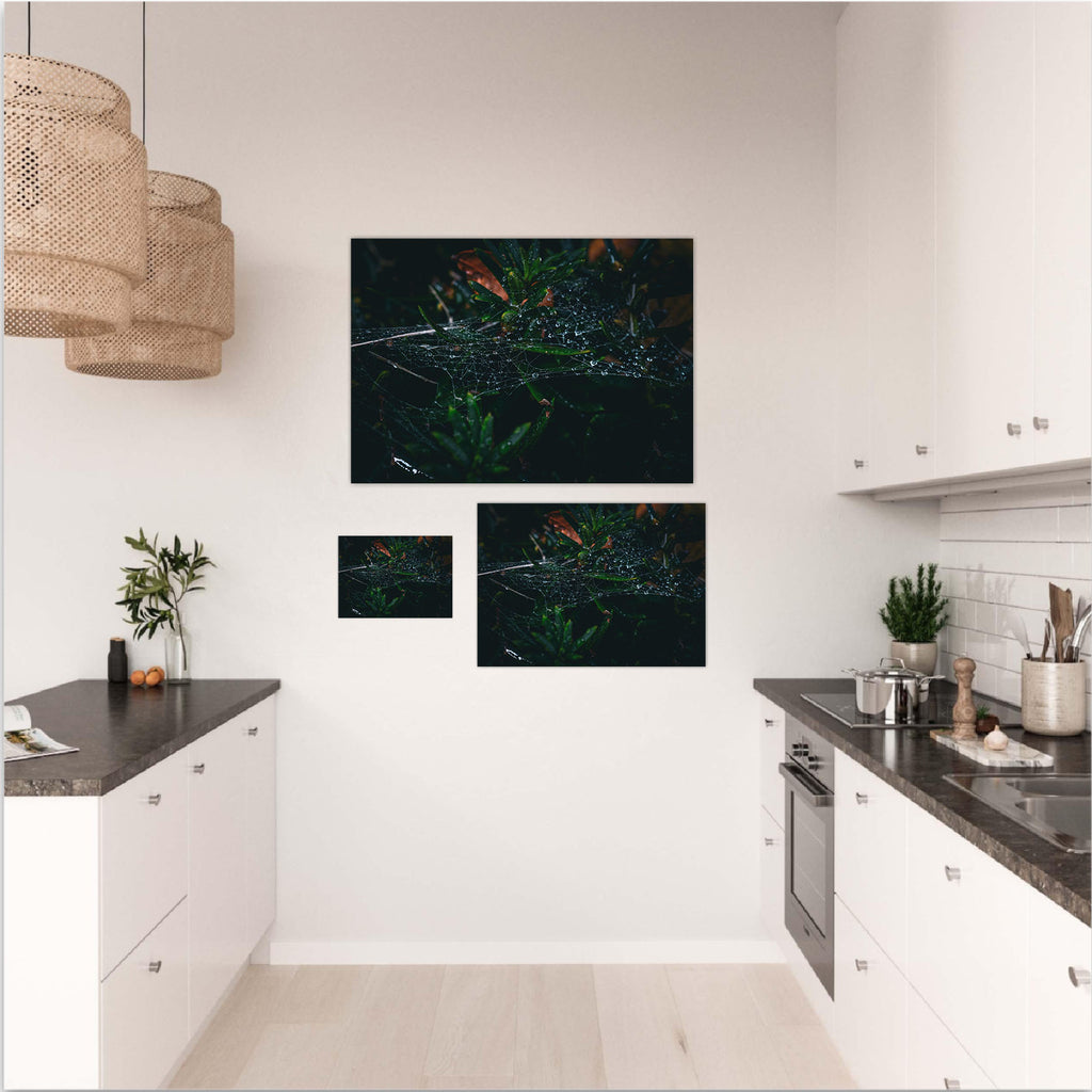 Collection Web