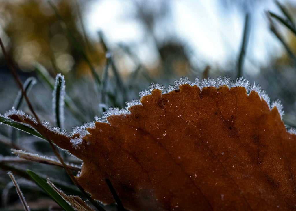 Winters Edge II