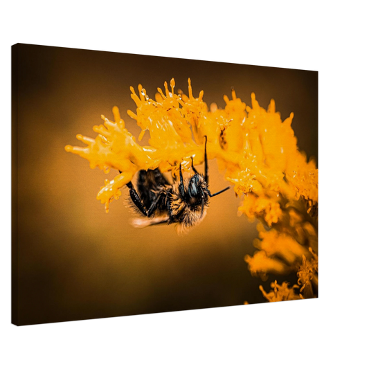 a182a882-6291-4e47-a58a-dcccbc803f11