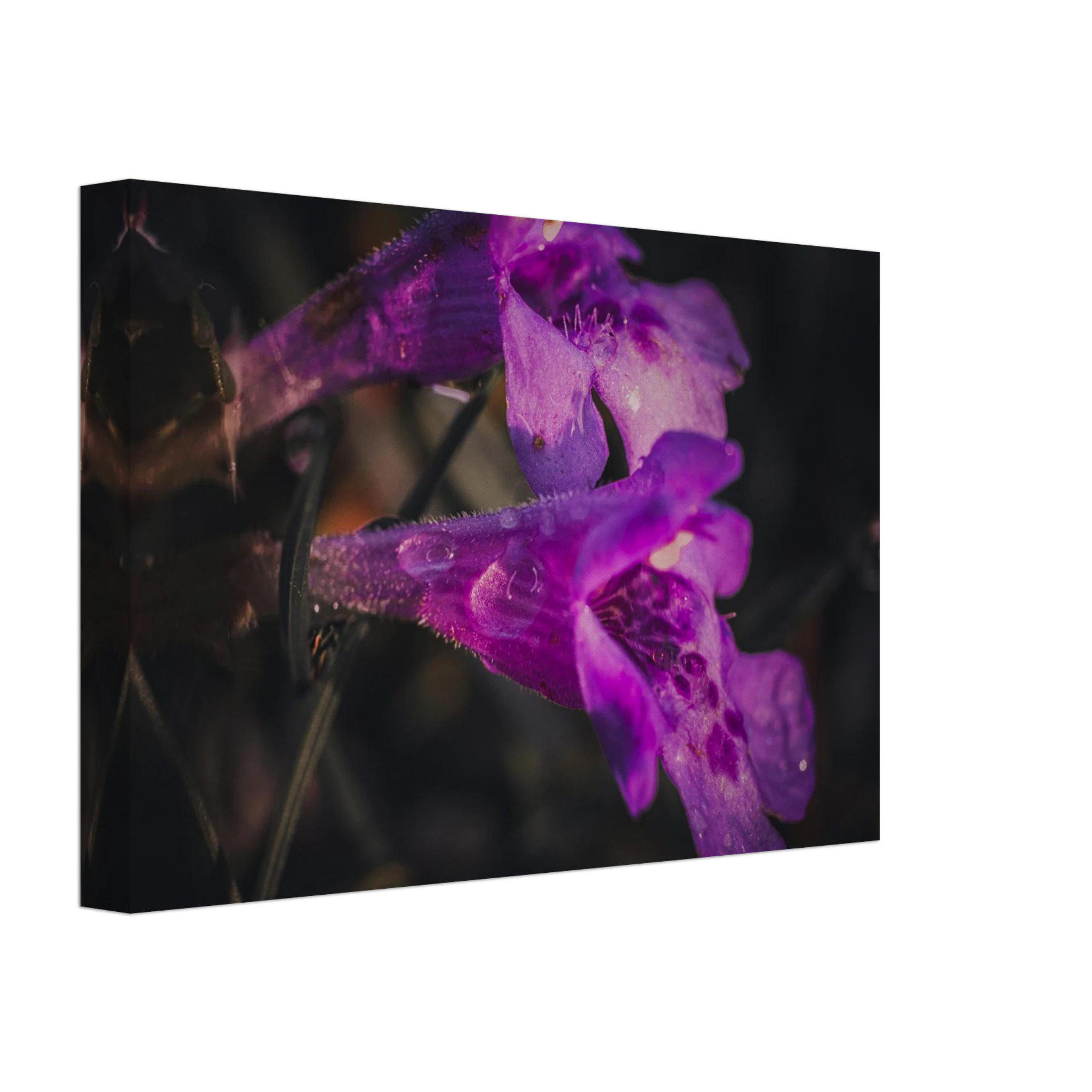 abc140c5-afe5-4bdc-b317-52ebbec14eb1