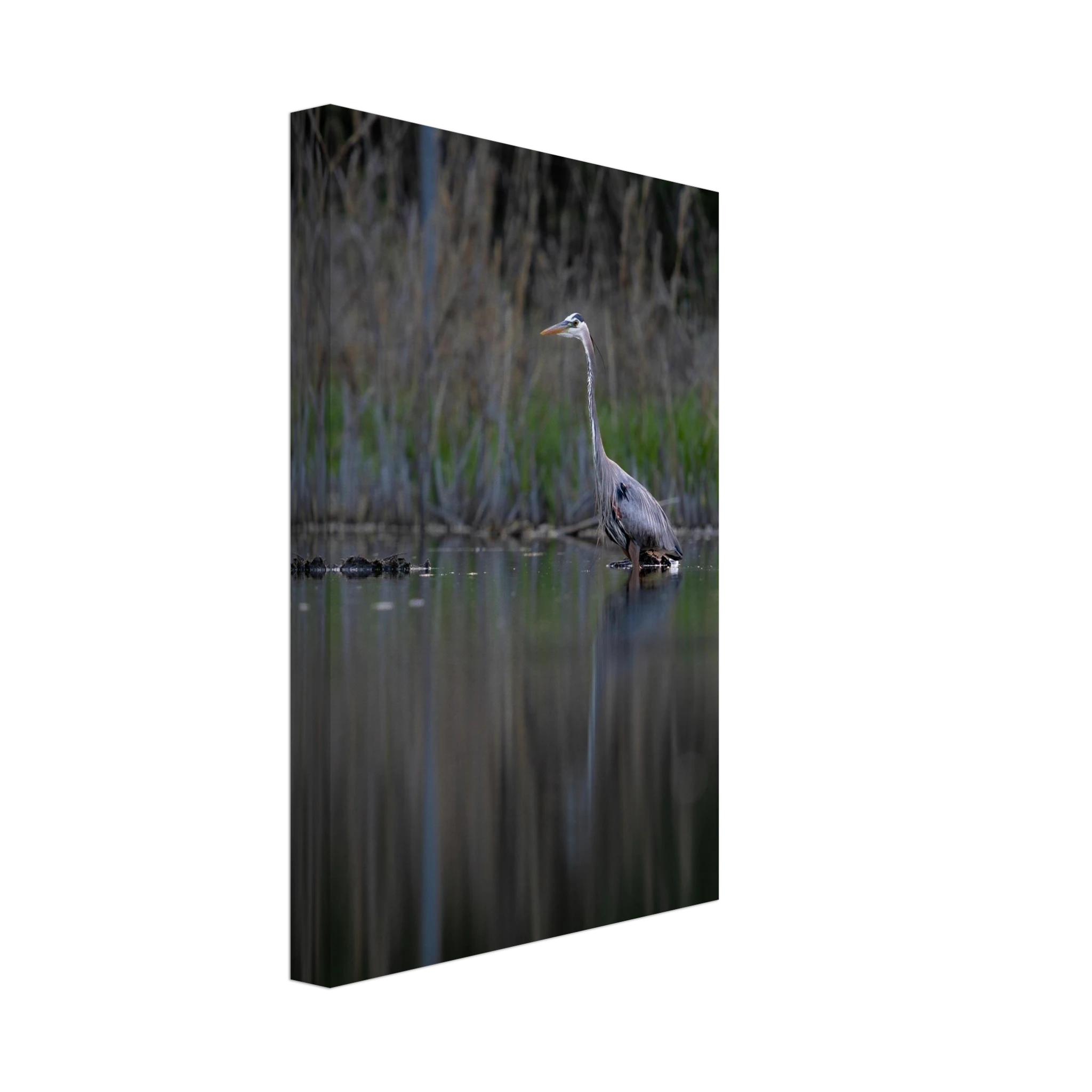 b476276b-34fd-49b4-9d6e-db9c4fb5c8cb