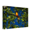 b60625c8-9a89-47dc-a098-6122f10a7415
