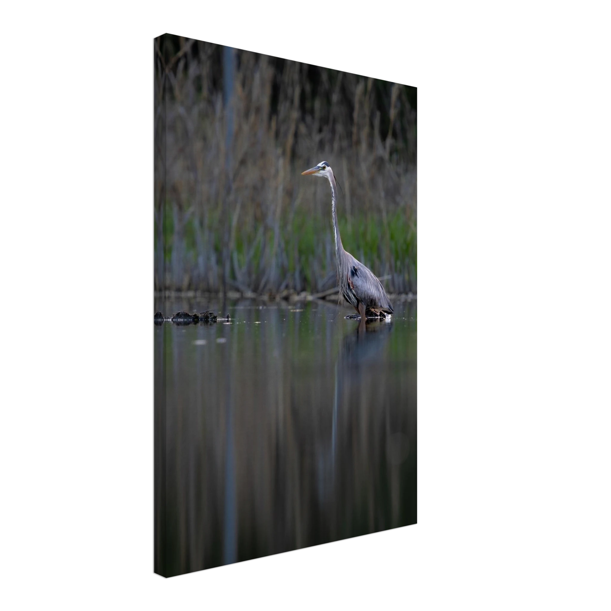 df383a65-6980-4291-8228-7961905be8ac