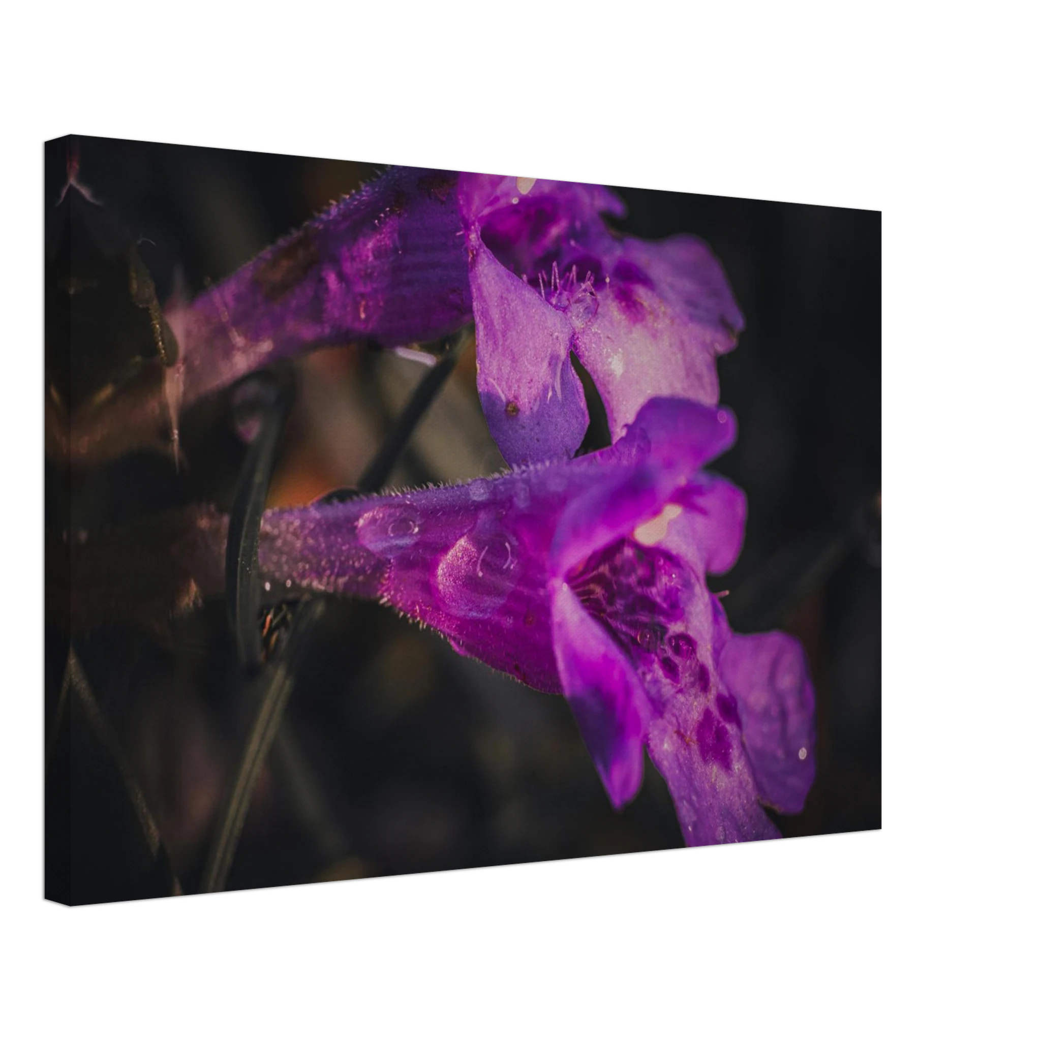 e695e78b-25ff-4848-87cc-ca97ac351e9d