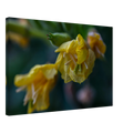 f4610c83-67a4-471b-86b4-4c618f37ca49