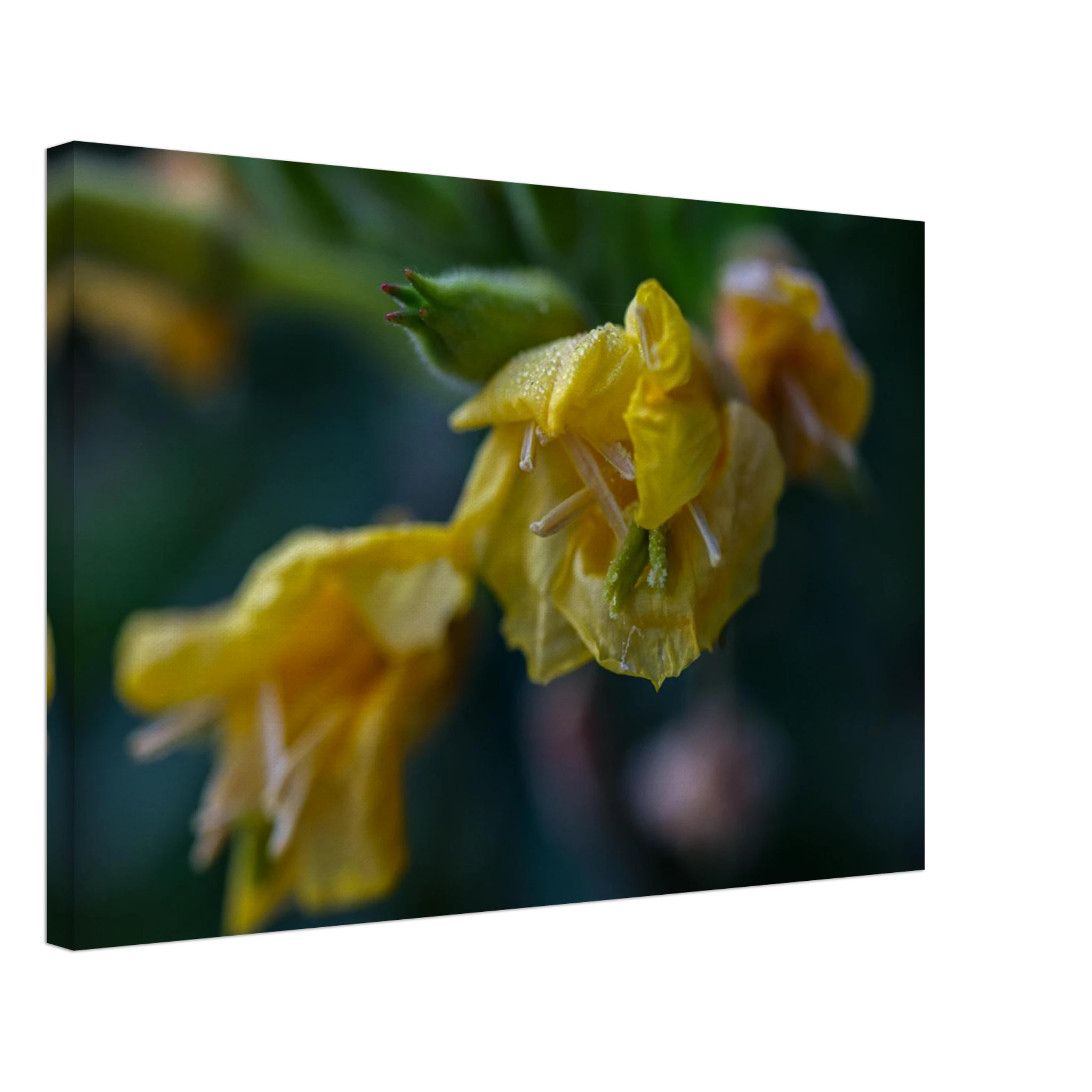 f4610c83-67a4-471b-86b4-4c618f37ca49