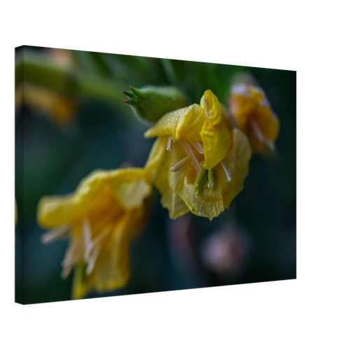 f4610c83-67a4-471b-86b4-4c618f37ca49