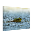 fd5791b2-0545-46f7-9fc7-68e9bc8f5892